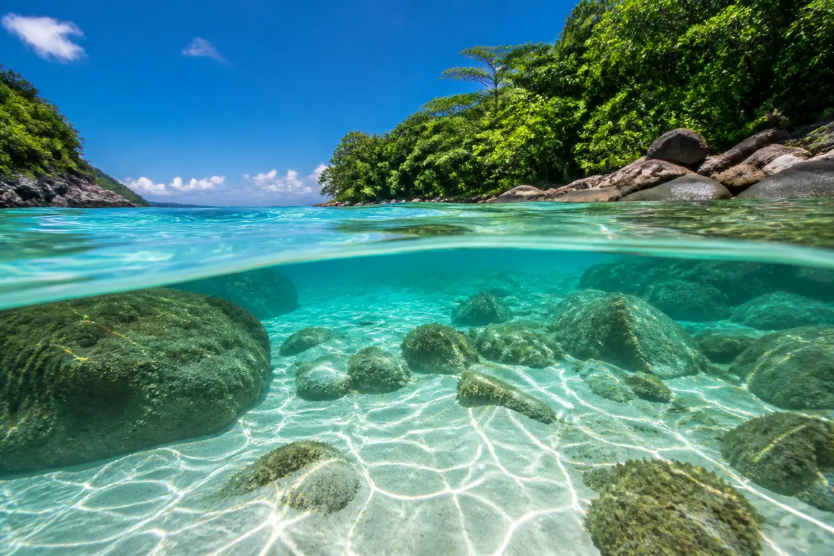 Snorkeling en Guadeloupe : les criques de Terre-de-Bas